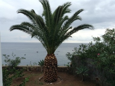 Villa Pini - Ville e case vacanze a Panarea